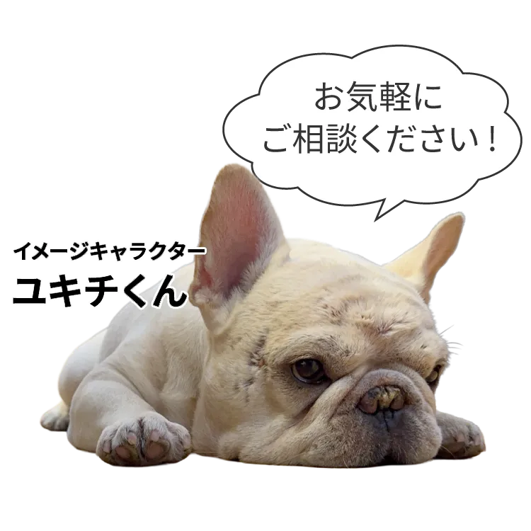 東栄建設イメージキャラクター　ゆきちくん